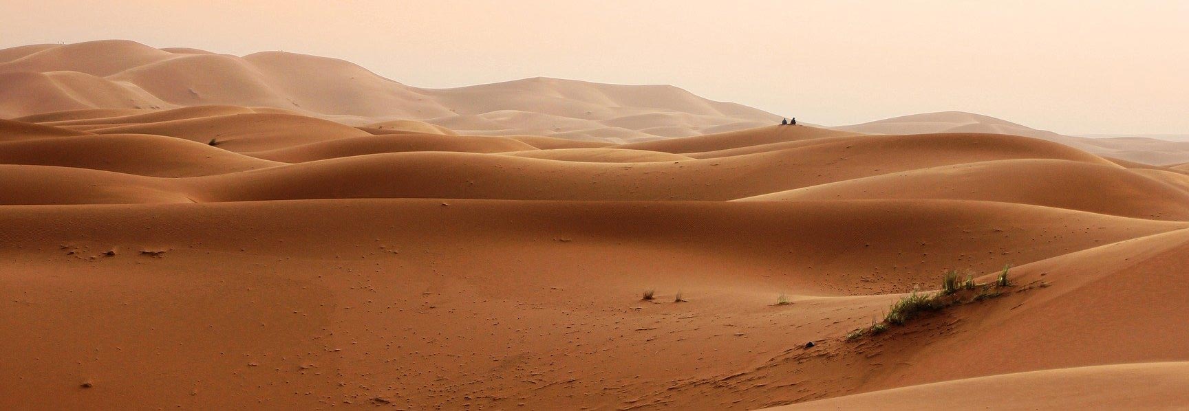 Desierto